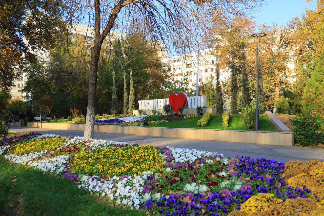 ☀️ Узбекистанцы согреются после холодов: в эти дни в стране потеплеет до +20°C