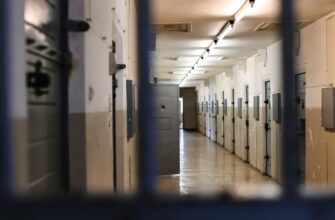 В Узбекистане помогут молодежи адаптироваться к жизни после колонии