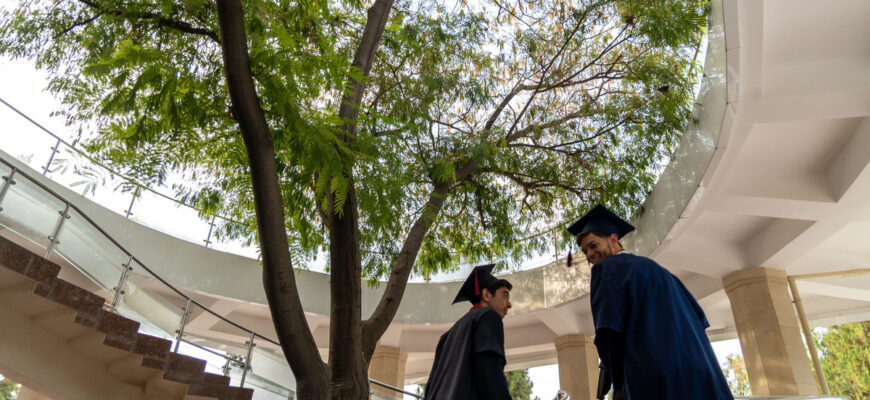 В Узбекистане выпускникам вузов будут платить стипендию до 2 миллионов сумов и давать кредиты на стартапы