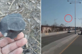 В небе над Ташкентом заметили яркий падающий объект, напоминающий метеорит — видео