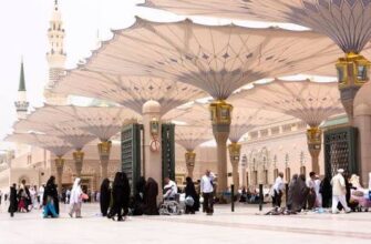 Uzbekistan Airways запустила спецрейсы для эвакуации паломников из Саудовской Аравии