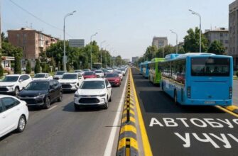 В Ташкенте автобусные полосы отделят специальными ограждениями