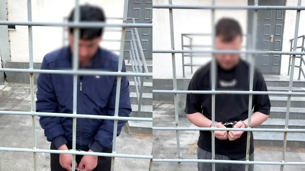 В Бостанлыке мужчина застрелил трёх кошек, а затем повесил одну напоказ как экспонат