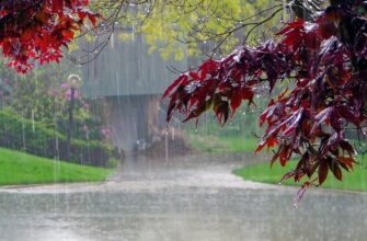 В Узбекистане ожидаются затяжные дожди и похолодание
