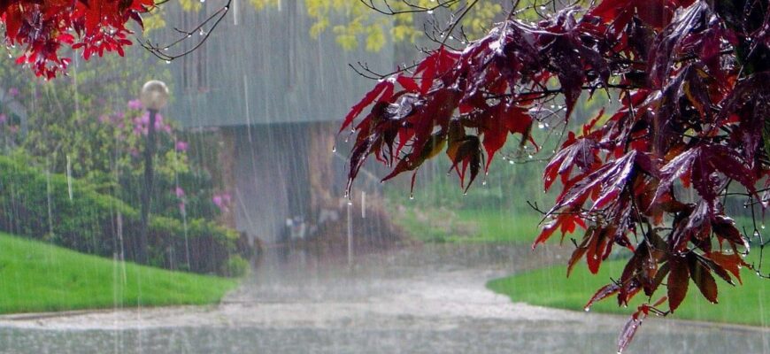 В Узбекистане ожидаются затяжные дожди и похолодание