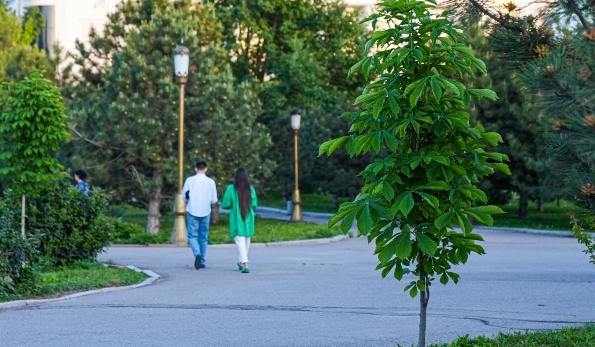 O‘zbekistonda may oyi kutilganidan issiqroq kelishi ma’lum qilindi