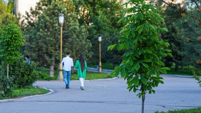 O‘zbekistonda may oyi kutilganidan issiqroq kelishi ma’lum qilindi
