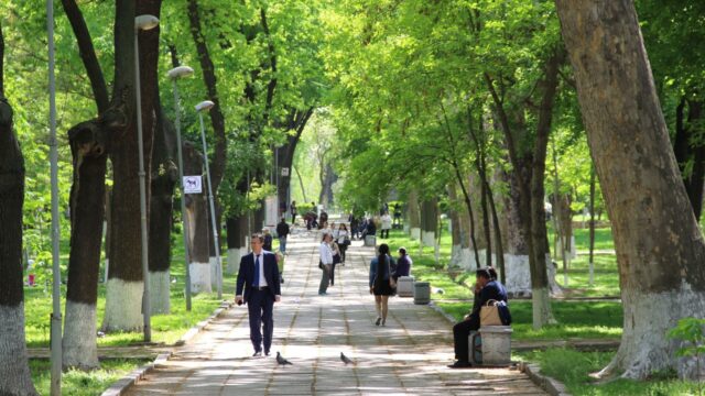 O‘zbekistonda haftaning o‘rtasiga borib harorat +35 darajagacha ko‘tariladi