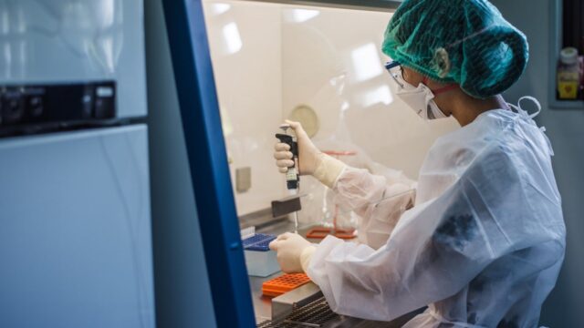 У летучих мышей в Таиланде обнаружили опасный для человека коронавирус