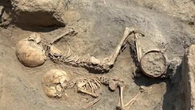 В Сурхандарье археологи обнаружили череп ребенка бронзового века