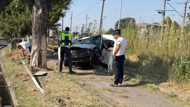 В Ташкентской области водитель Lacetti погиб после столкновения с деревом