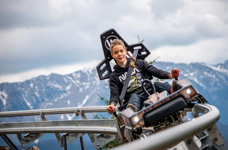В Ташкентской области запустили альпийские сани Alpine Coaster: цены и график работы