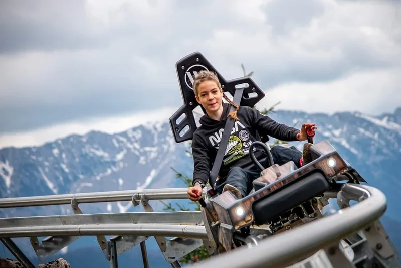 В Ташкентской области запустили альпийские сани Alpine Coaster: цены и график работы