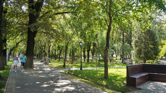 Узбекистане в последнюю неделю июля ожидается аномальная жара до +42 градусов