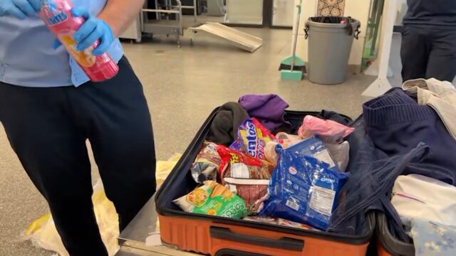 В аэропорту Ташкента пресечен ввоз 4,4 кг мефедрона: задержаны гражданин Казахстана и получатель груза