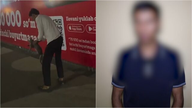 Andijonda mushuk bolasini devordan oshirib otgan yoshlarga 4,12 mln somdan jarima solindi