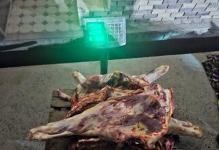 На рынке «Чорсу» хотели продать 235 килограммов опасного мяса с кишечной палочкой