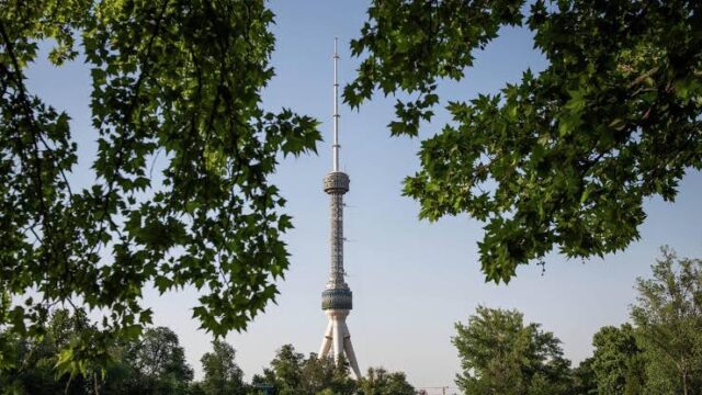 dam olish kunlari harorat +37 darajagacha ko‘tariladi va chang-to‘zon kuzatiladi