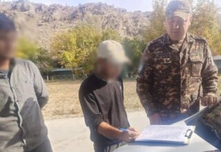 Двух жителей Навоийской области оштрафовали за незаконный сбор боярышника
