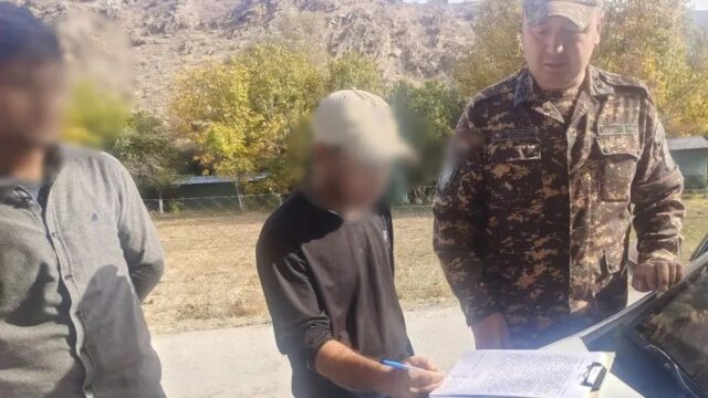 Двух жителей Навоийской области оштрафовали за незаконный сбор боярышника