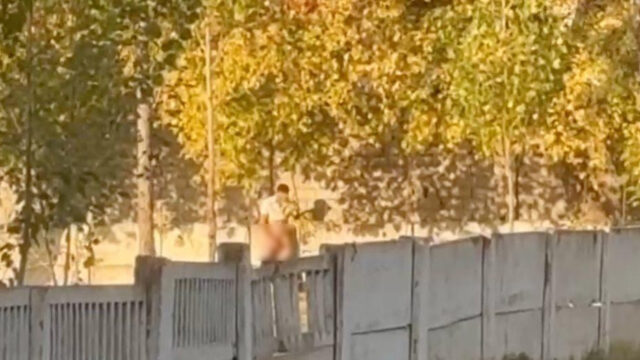 В Чирчике на территории школы засняли мужчину, мастурбировавшего на школьниц