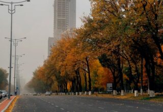 Ночные заморозки: узбекистанцам рассказали, какой погоды ждать в ноябре