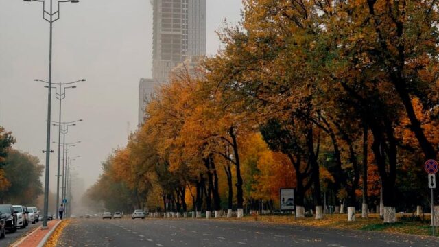 Ночные заморозки: узбекистанцам рассказали, какой погоды ждать в ноябре